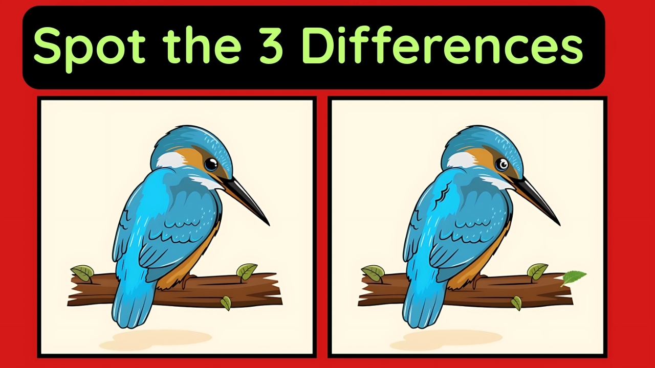 Kingfisher Optical Illusion