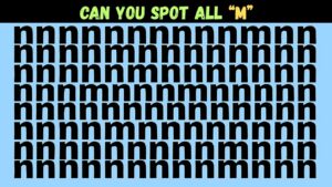 Optical Illusion Challenge Count