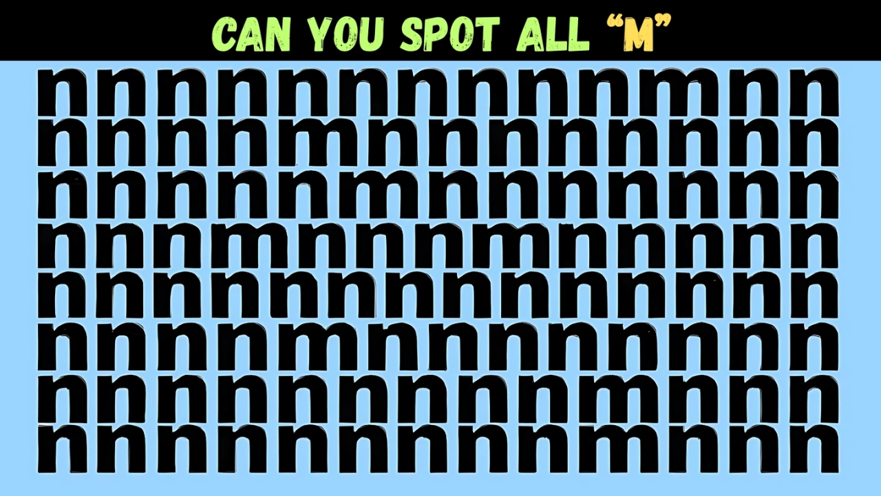Optical Illusion Challenge Count
