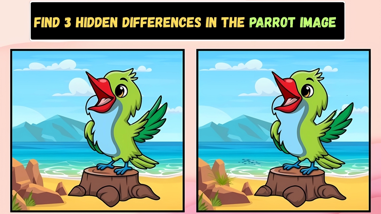 3 Changes in This Parrot Optical Illusion