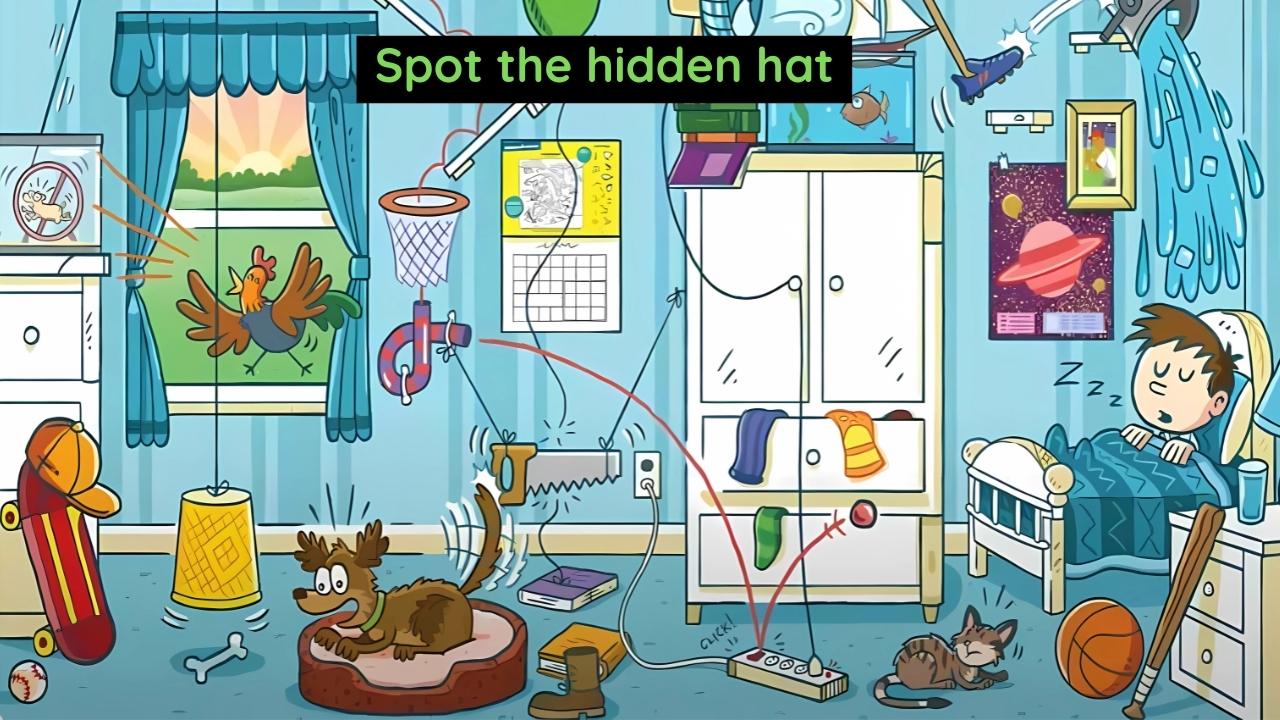 Optical Illusion Can You Spot the Hidden Hat