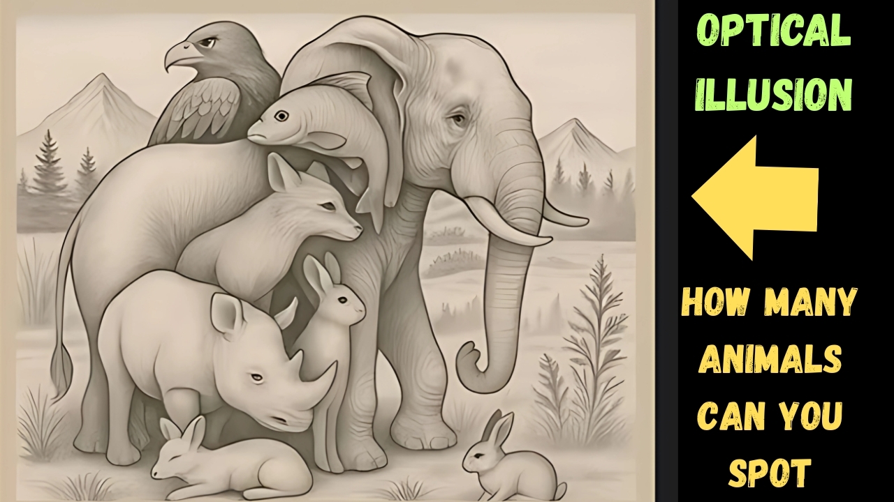 Optical Illusion Challenge Count the Animals