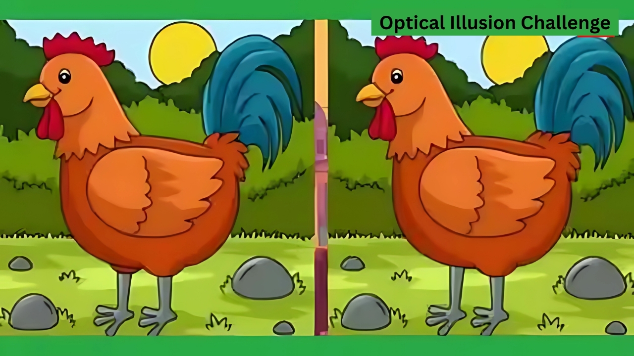 Optical Illusion Challenge