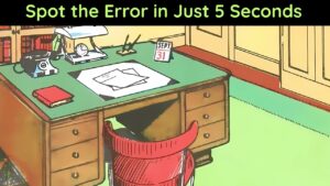 Optical Illusion Hides Mistakes